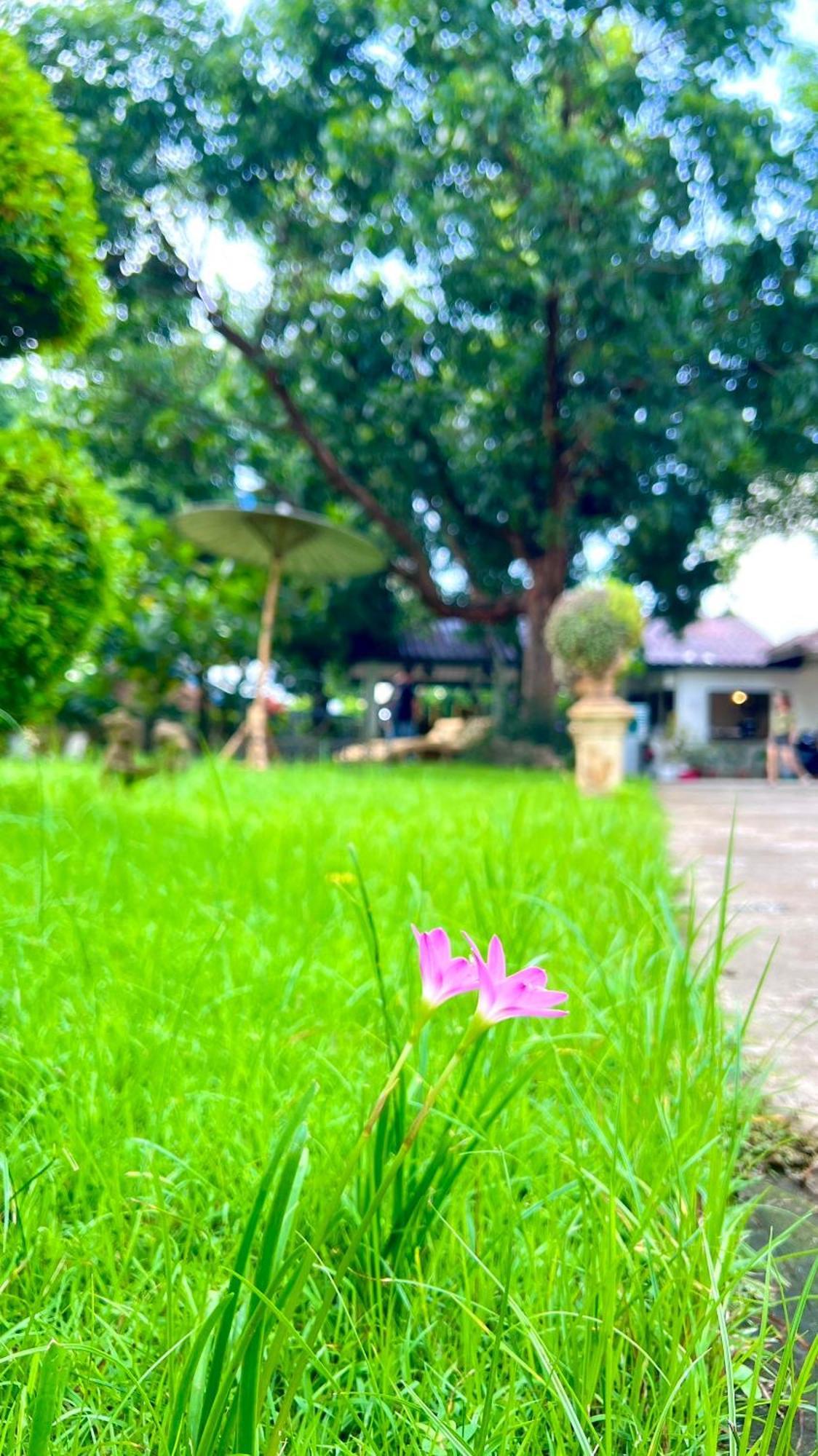 Udee Cozy Hotel Chiang Mai Exterior foto