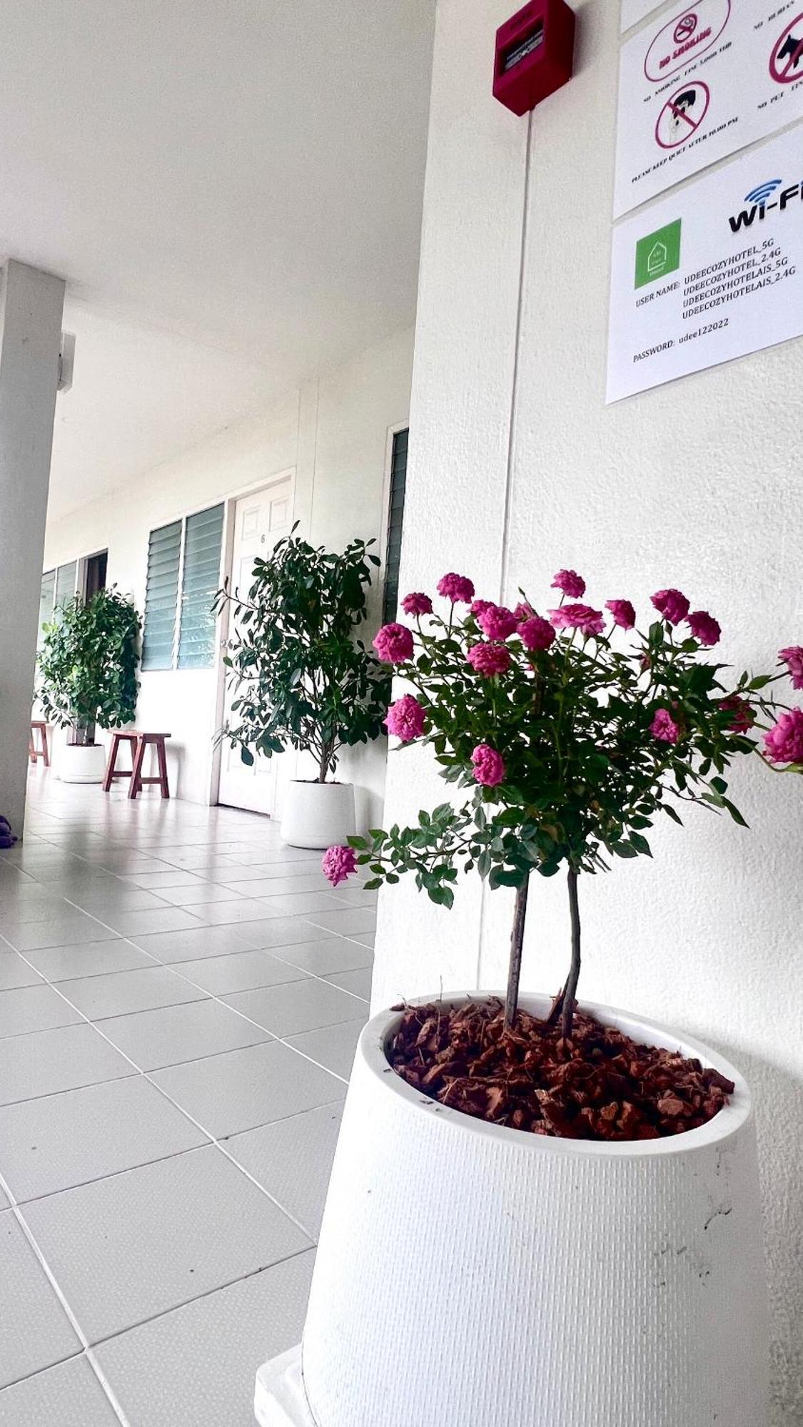 Udee Cozy Hotel Chiang Mai Exterior foto